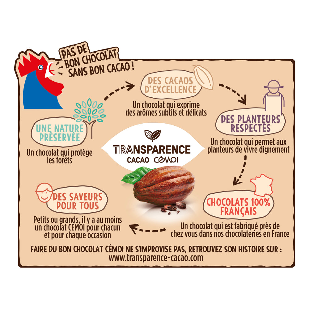 Cémoi s'engage pour un cacao durable avec son programme Transparence Cacao